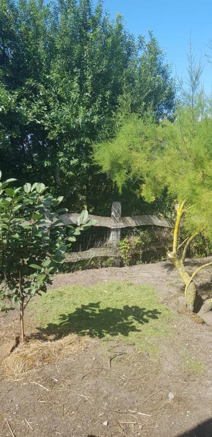 L Hyppo Camp' Oye-Plage Exterior foto