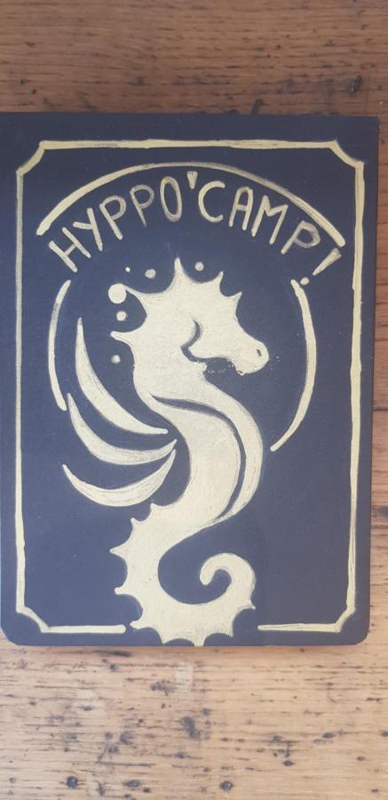 L Hyppo Camp' Oye-Plage Exterior foto